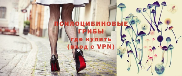 винт Алексин
